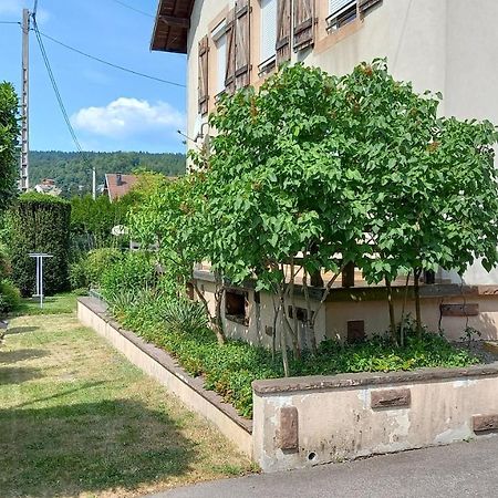 Studio D'Hotes A 10 Km De Gerardmer Le Tholy Εξωτερικό φωτογραφία