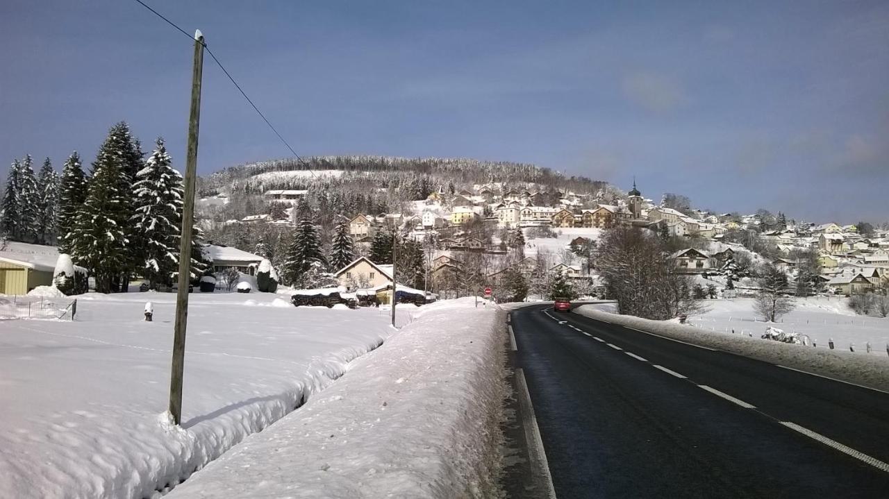 Studio D'Hotes A 10 Km De Gerardmer Le Tholy Εξωτερικό φωτογραφία